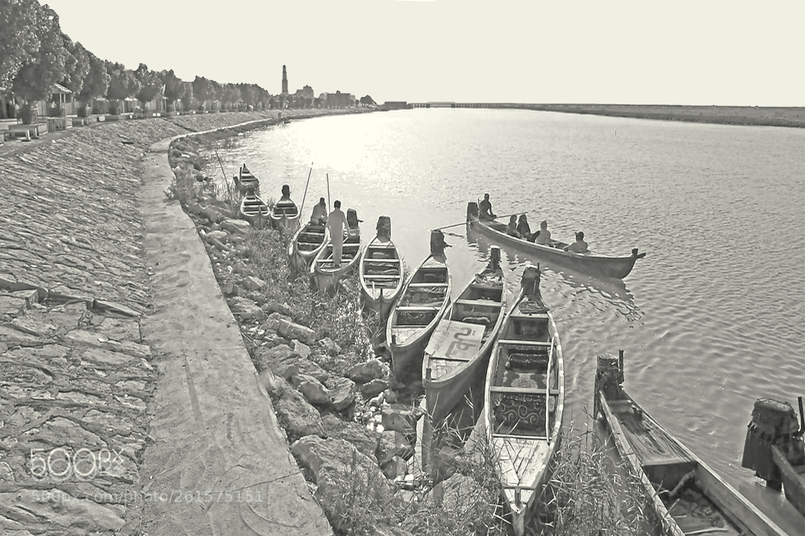 Canon EOS 700D (EOS Rebel T5i / EOS Kiss X7i) sample photo. Flashback(2016) iraqi marshes photography