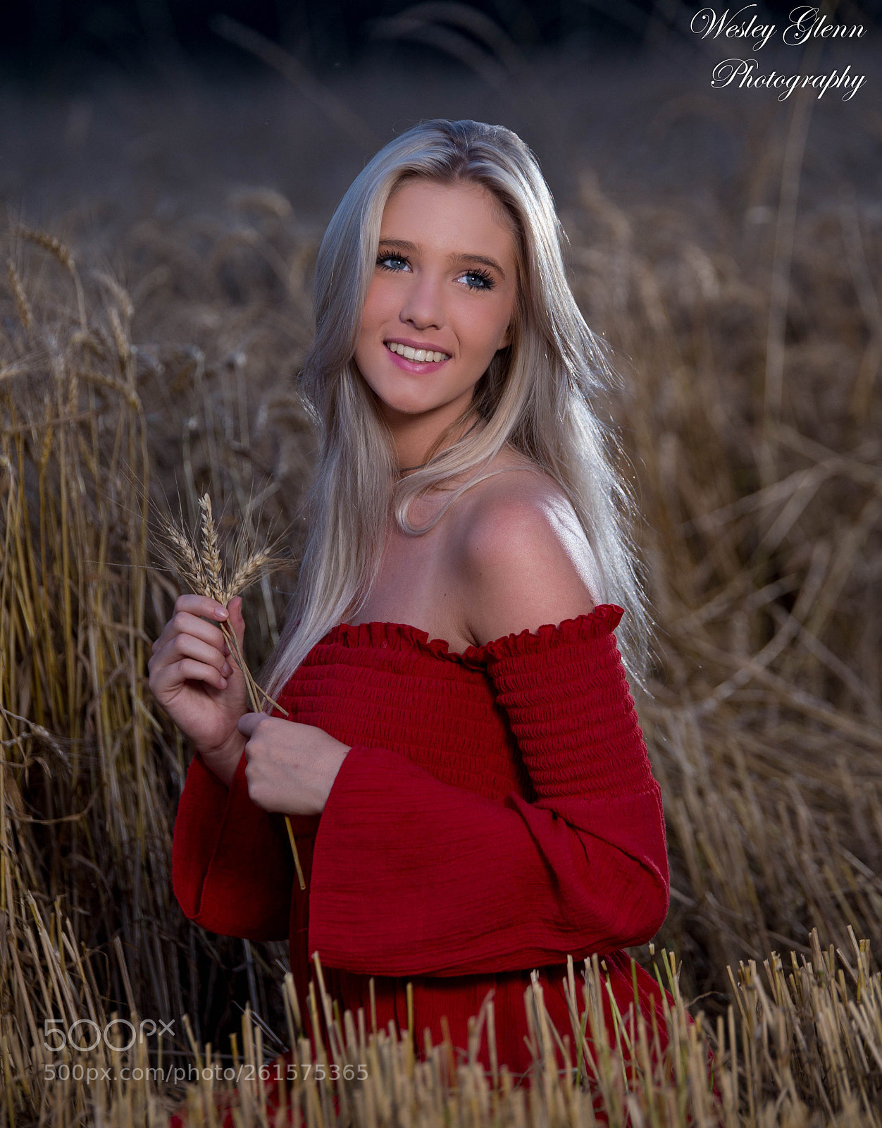 Canon EOS 6D sample photo. Annsliegh photography