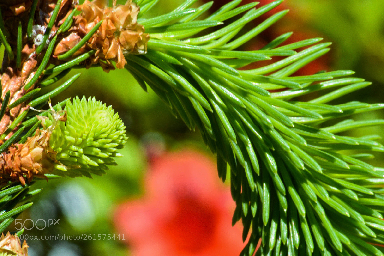 Nikon D7100 sample photo. Untitled photography