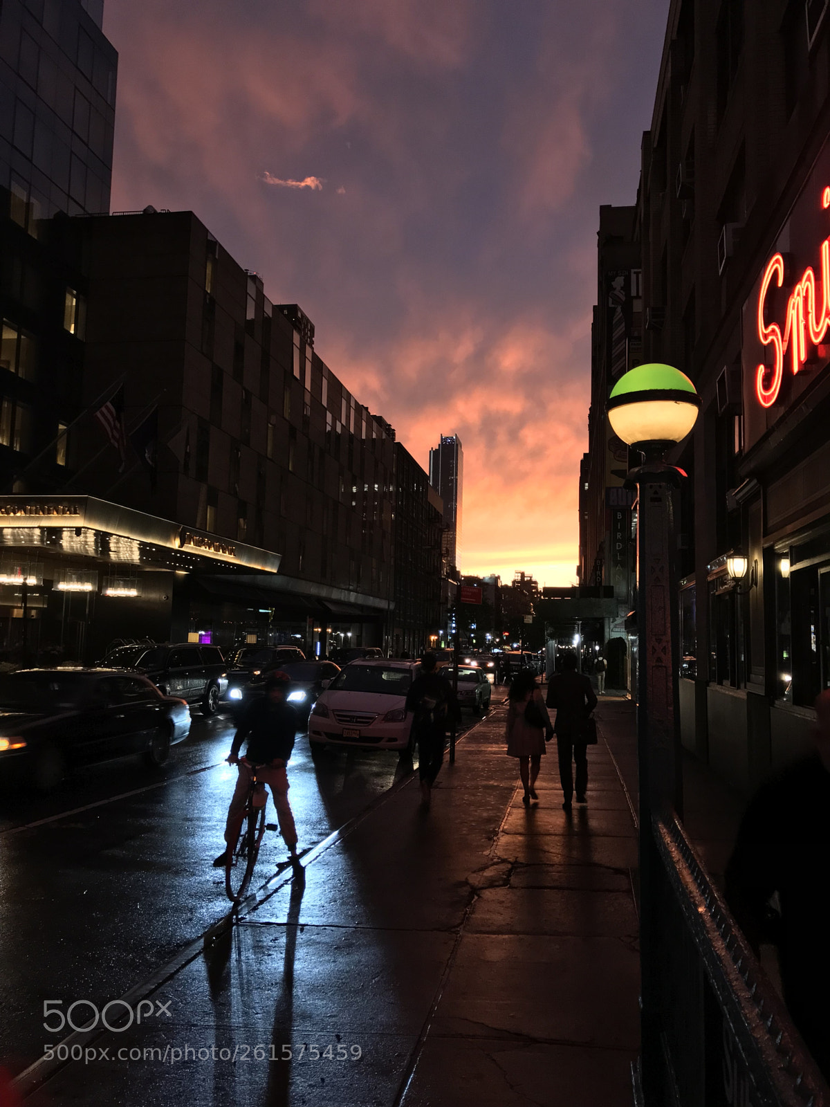 Apple iPhone 7 Plus sample photo. After the storm. photography