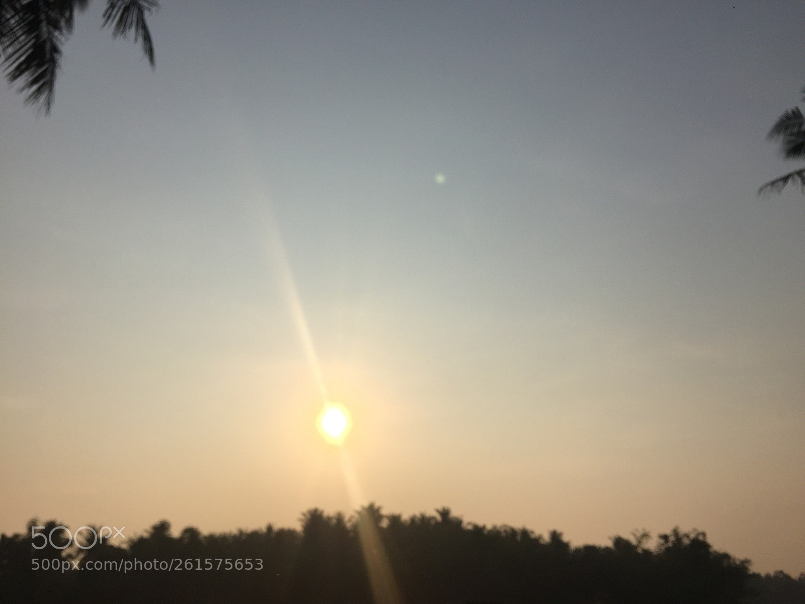 Apple iPhone 6 sample photo. Home sweet home photography