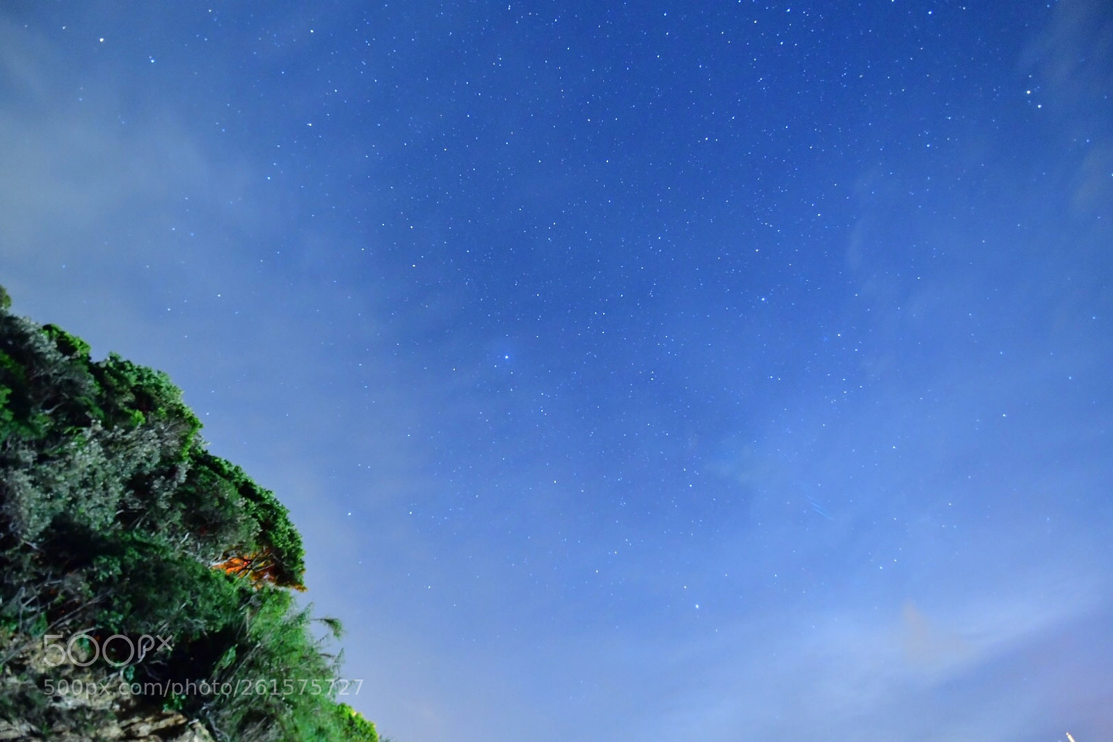 Nikon D850 sample photo. One night photography