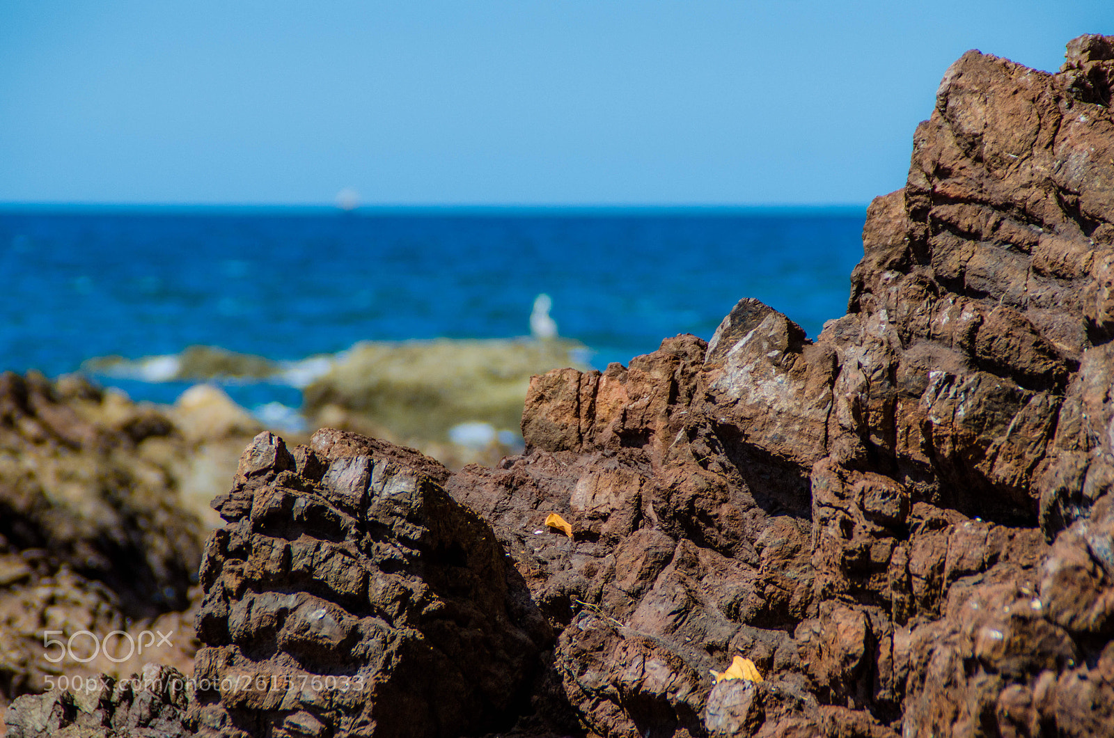 Nikon D7000 sample photo. Untitled photography