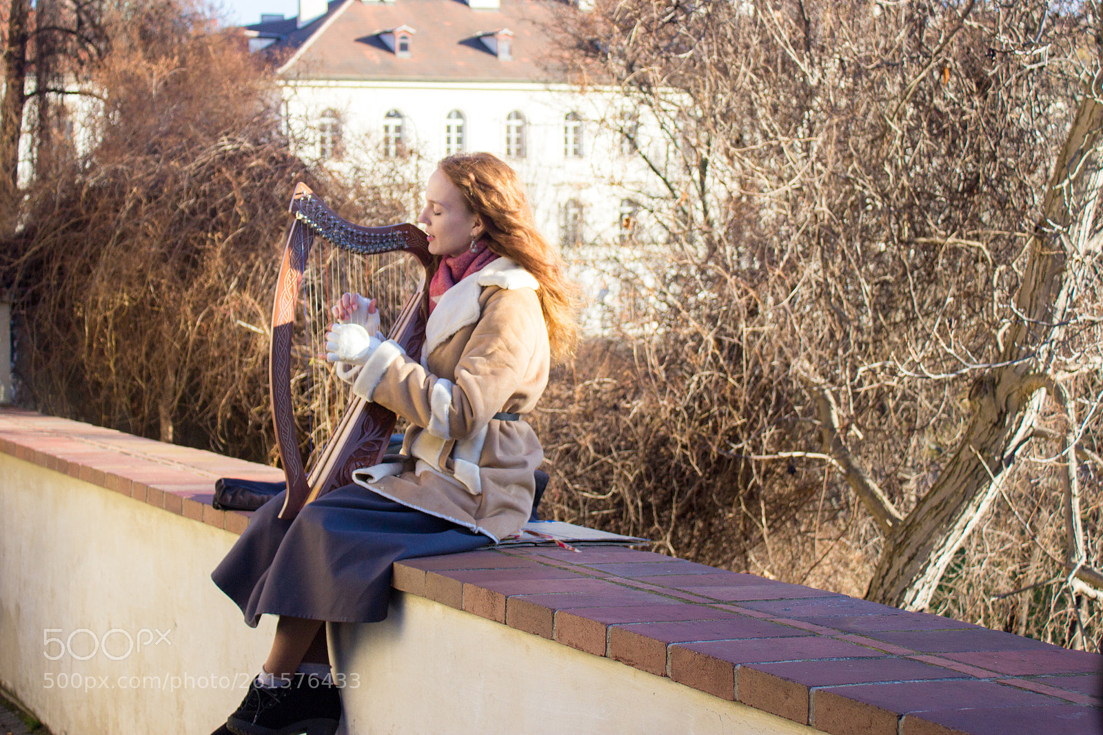 Canon EOS 600D (Rebel EOS T3i / EOS Kiss X5) sample photo. Harp angel photography