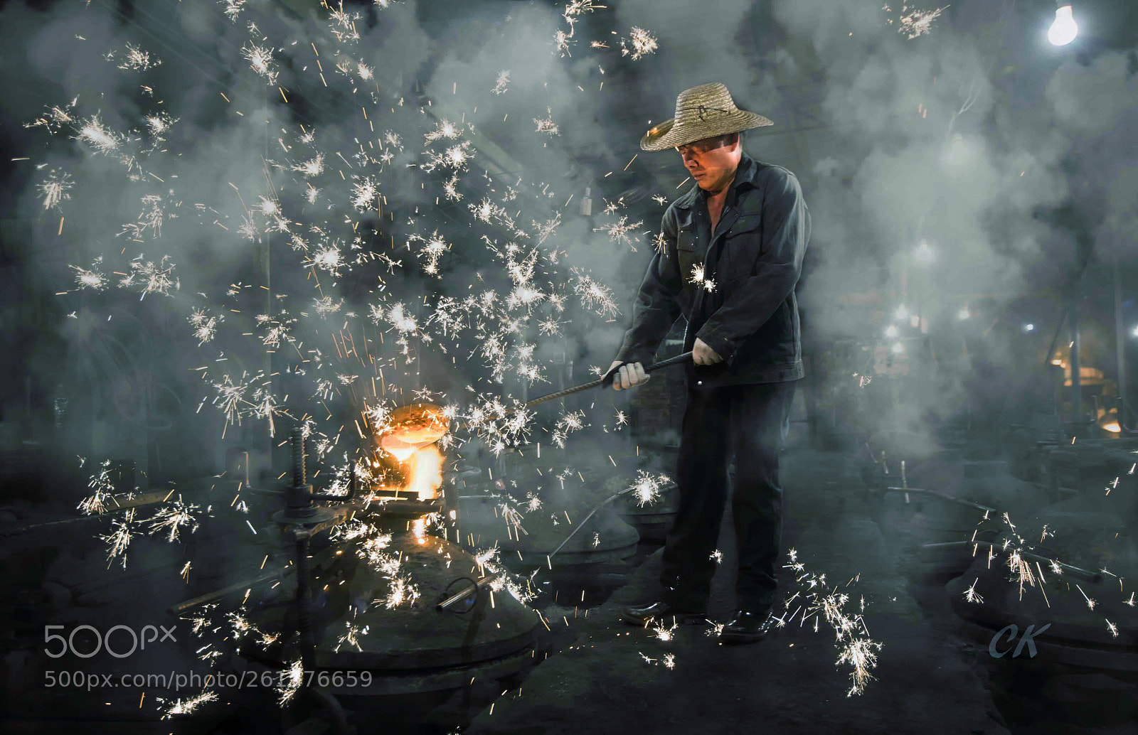 Nikon D5 sample photo. Steel flower photography