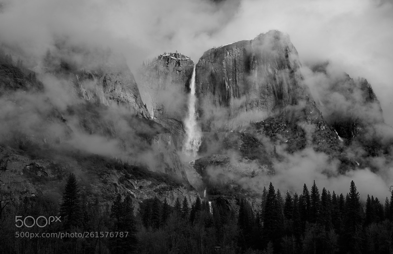 Nikon D800 sample photo. Morning fog photography