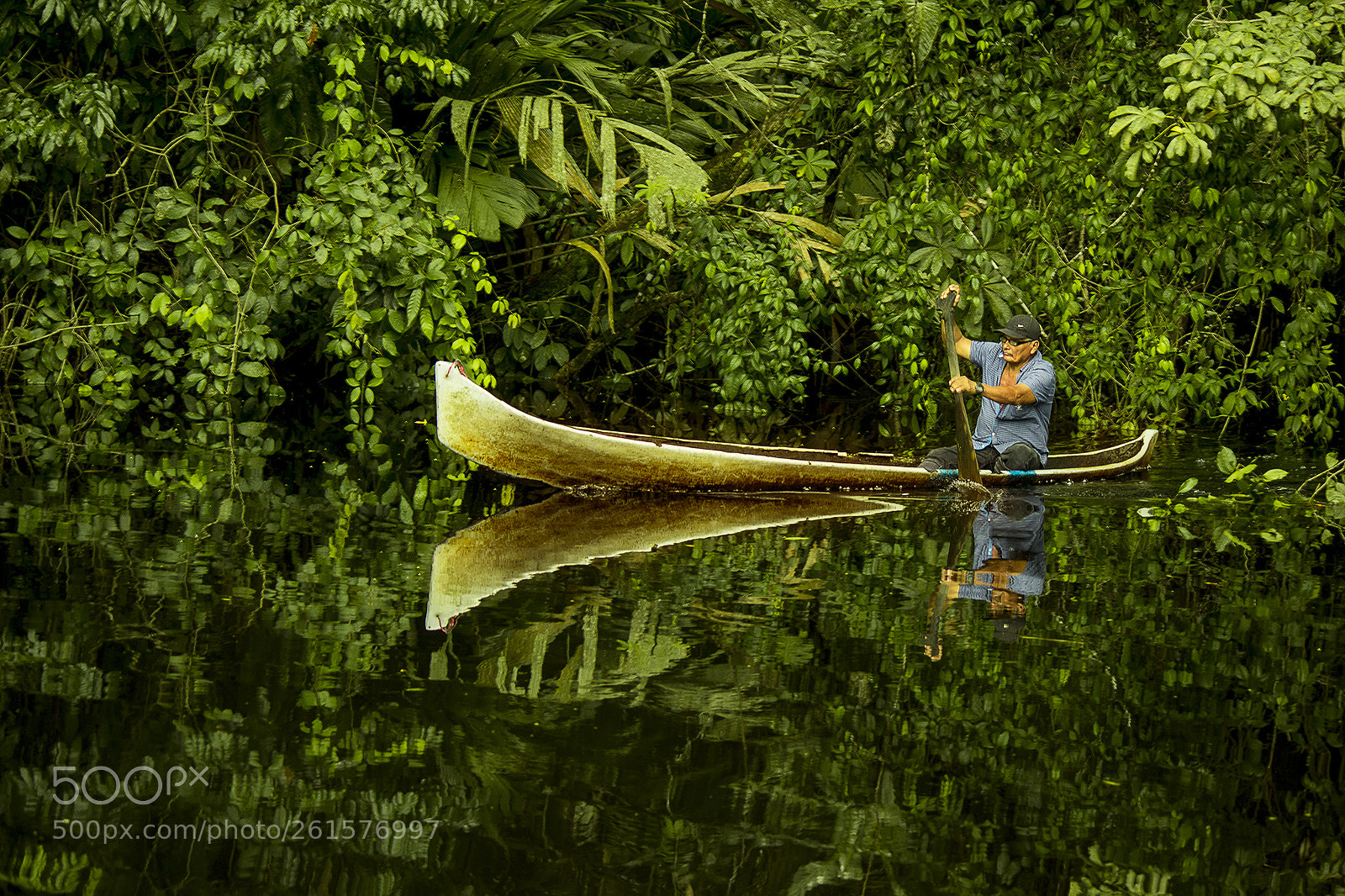 Canon EOS 600D (Rebel EOS T3i / EOS Kiss X5) sample photo. Enjoy the jungle photography