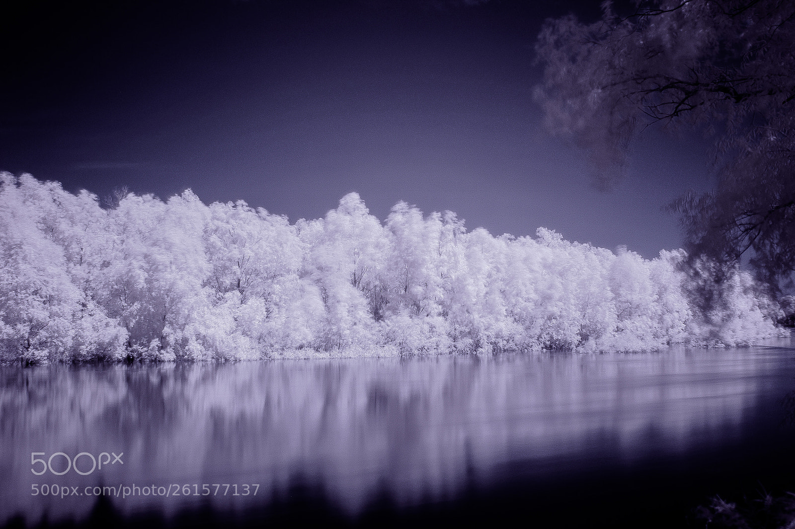 Canon EOS 700D (EOS Rebel T5i / EOS Kiss X7i) sample photo. Infrared photography