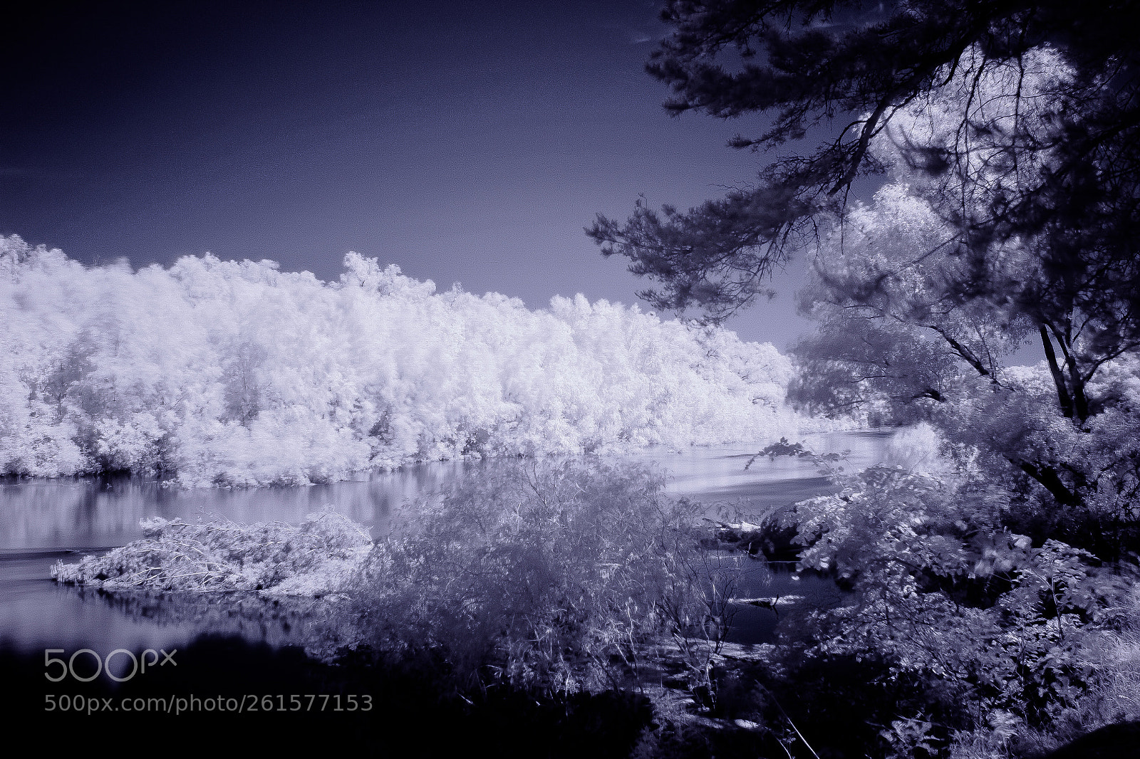 Canon EOS 700D (EOS Rebel T5i / EOS Kiss X7i) sample photo. Infrared photography