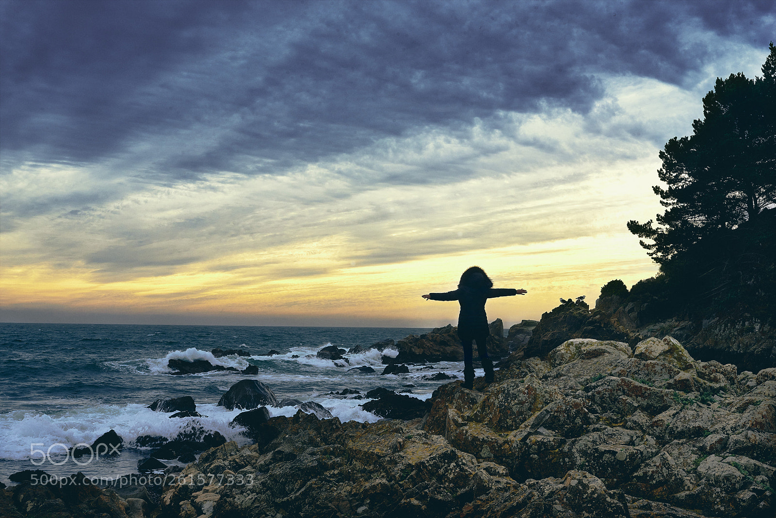Nikon D750 sample photo. Abrazando al cielo photography