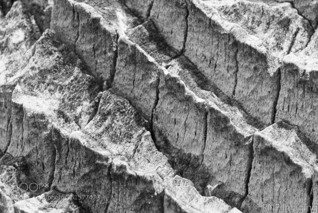 Nikon D200 sample photo. Woodridge cliffs 1 photography