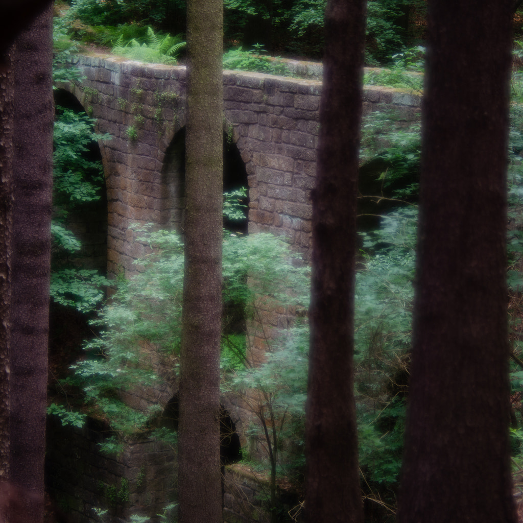 hohe brücke I von dirk derbaum auf 500px.com