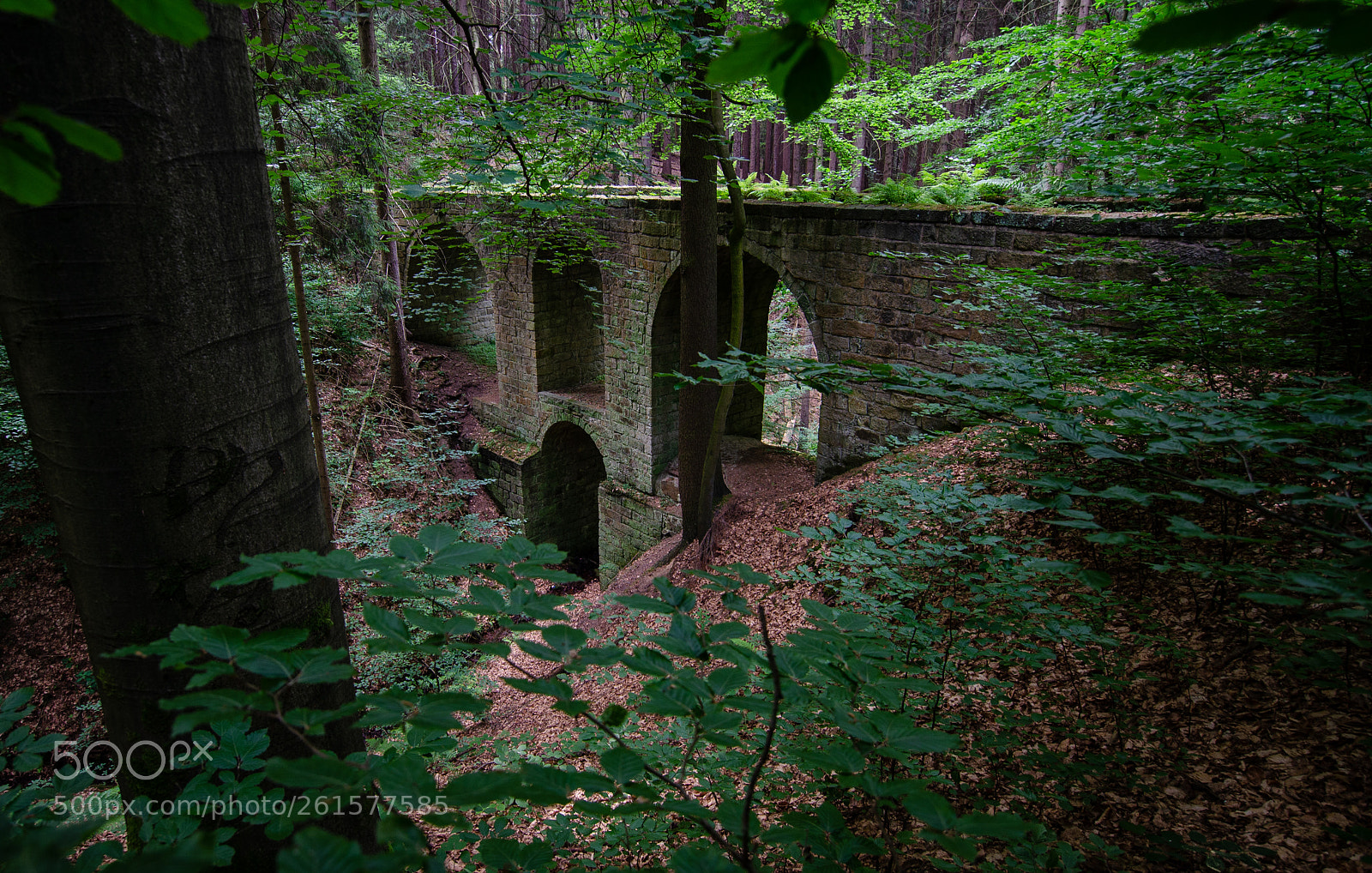 Nikon D5100 sample photo. Hohe brücke ii photography