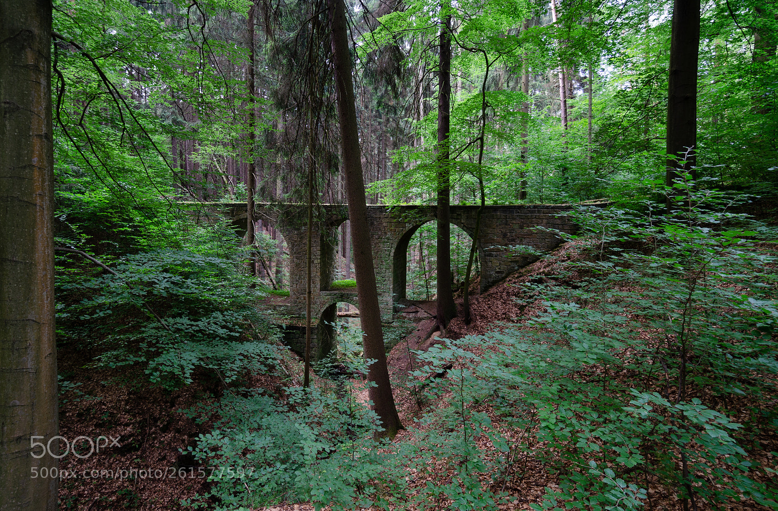 Nikon D5100 sample photo. Hohe brücke iii photography