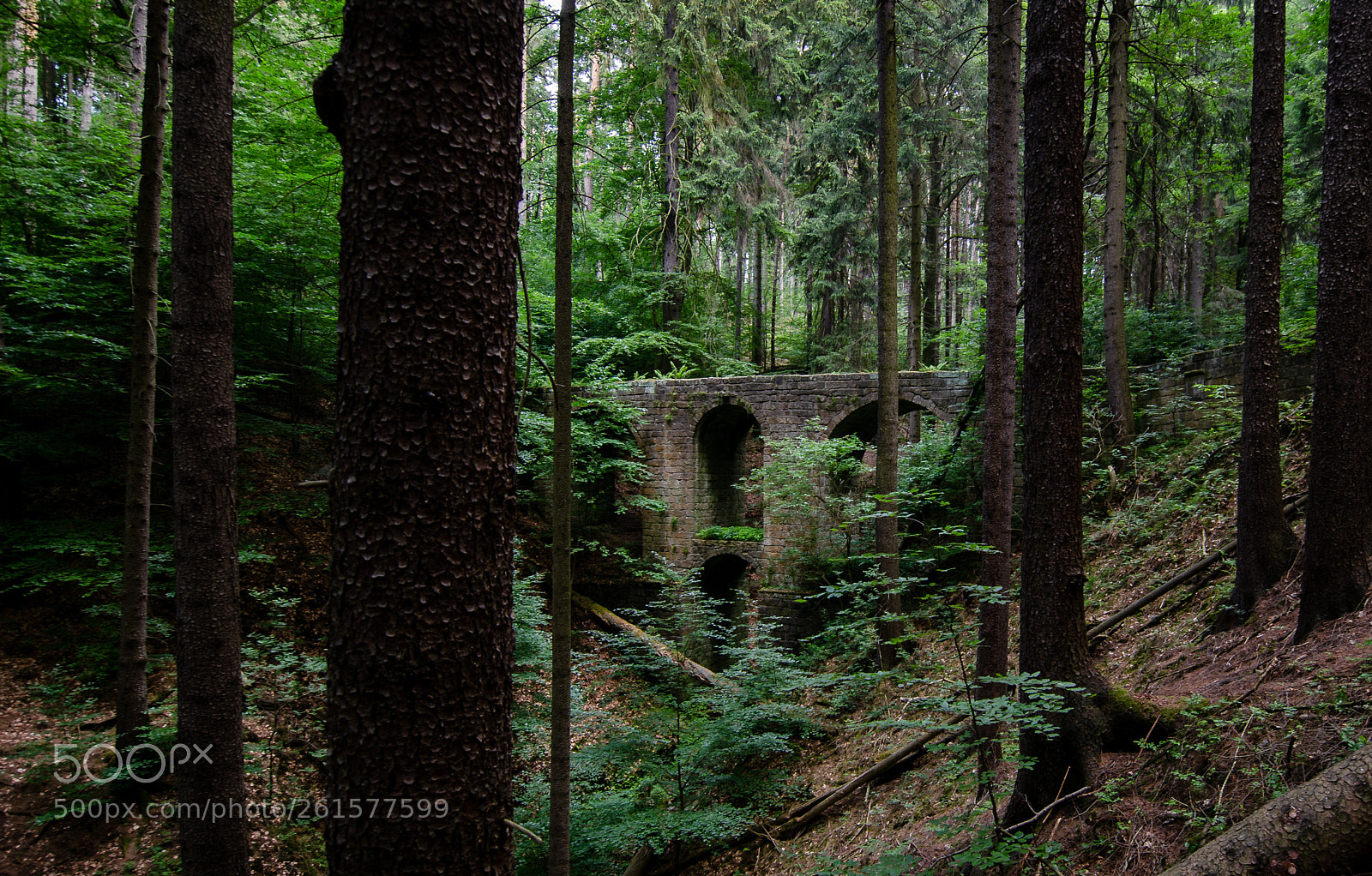 Nikon D5100 sample photo. Hohe brücke iv photography