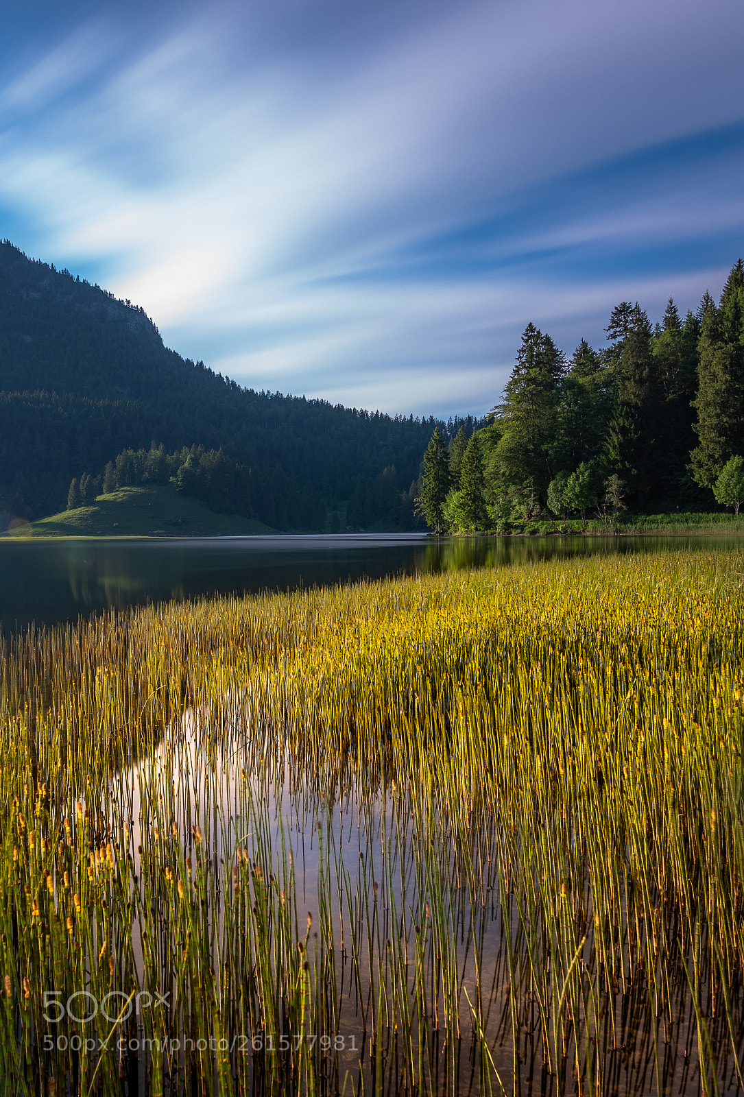Nikon D810 sample photo. Schliersee photography