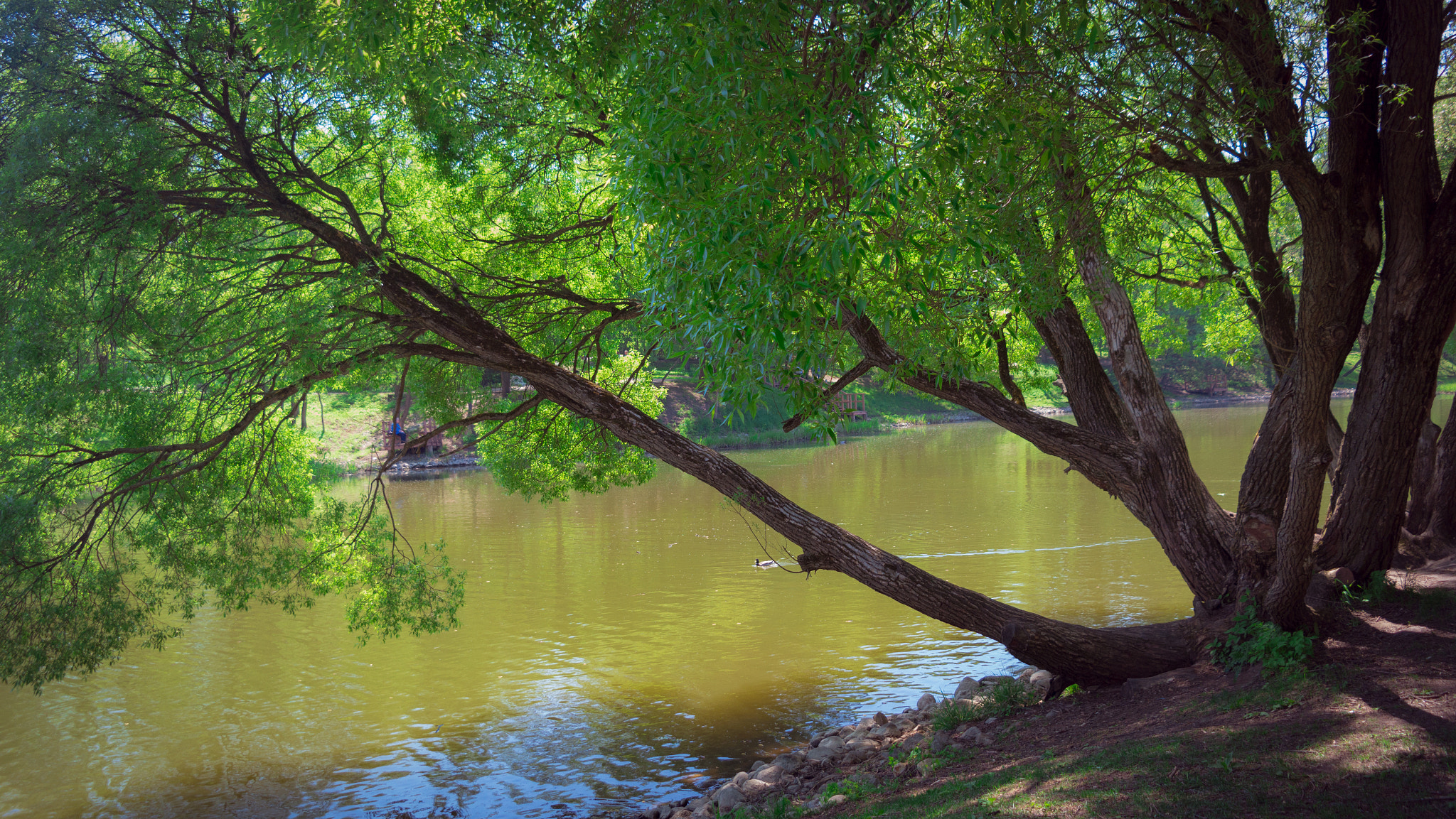 Samsung NX20 sample photo. 05130012.jpg photography