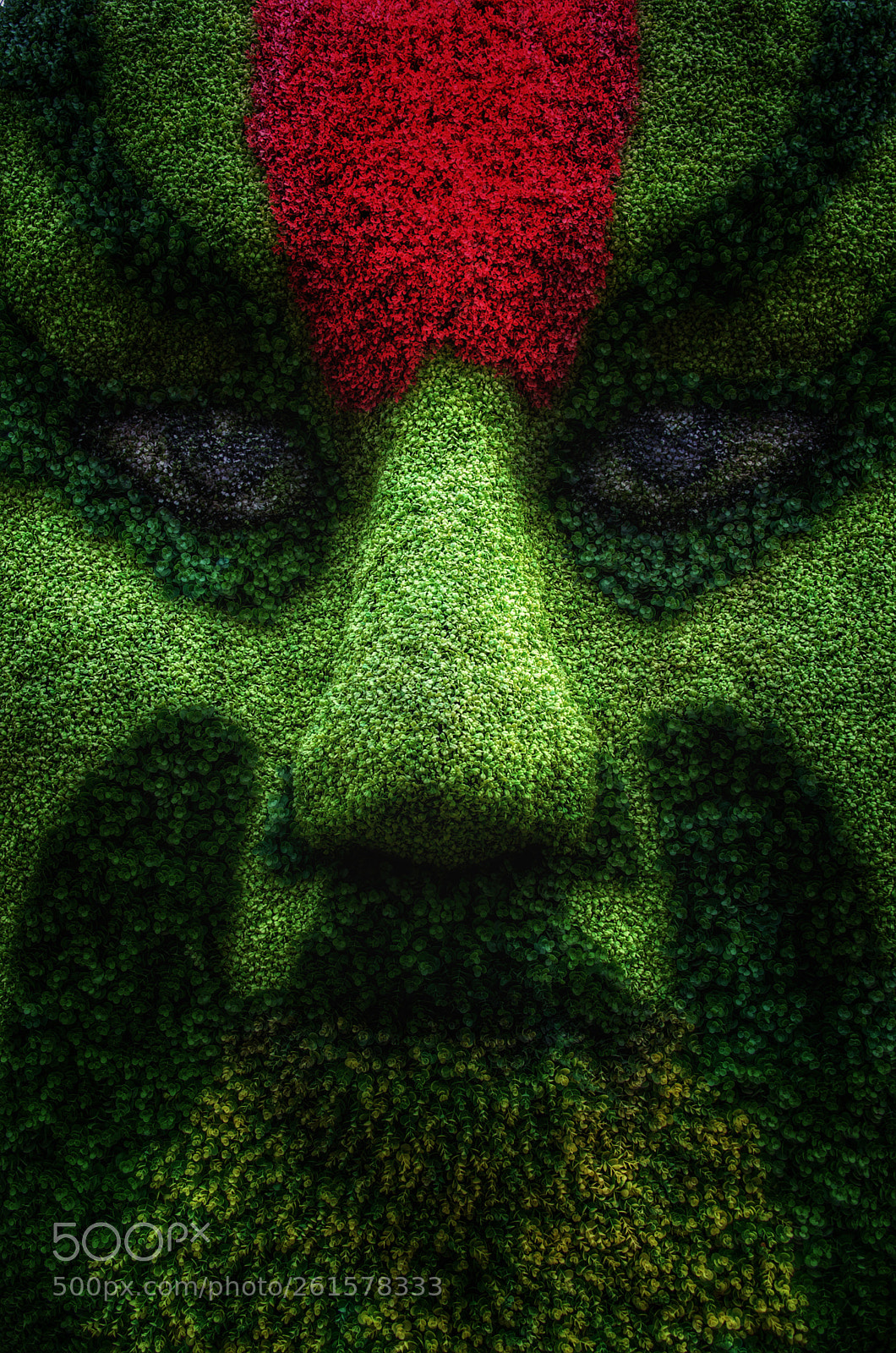 Nikon D610 sample photo. Mask 2 photography