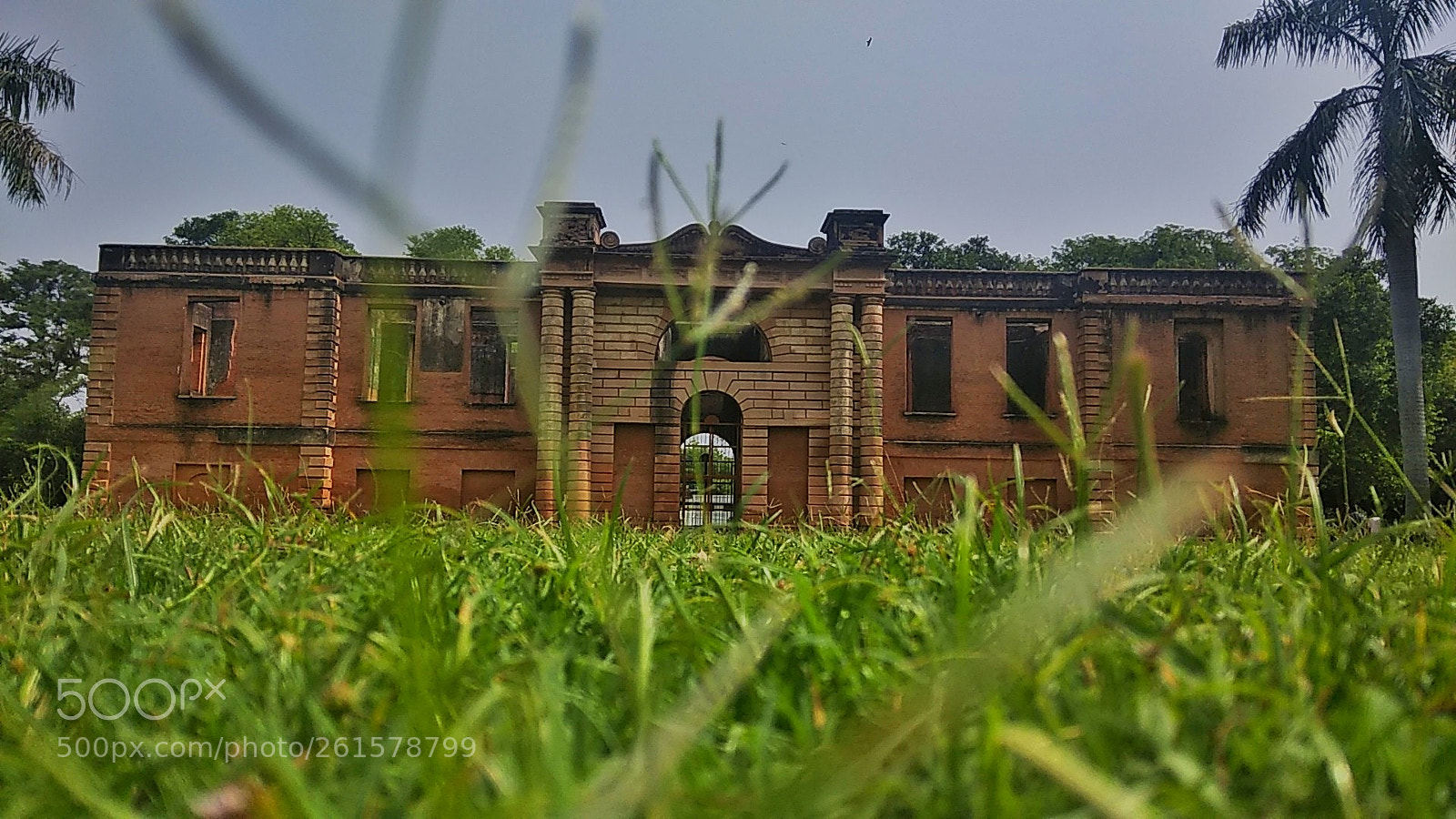 Xiaomi Redmi Note 4 sample photo. Untitled photography