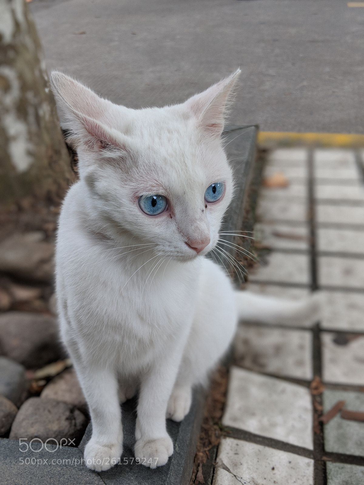 Google Pixel 2 sample photo. Untitled photography