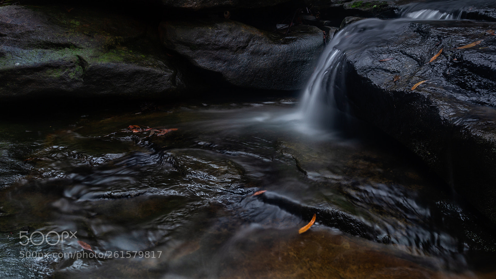 Canon EOS 6D sample photo. Cattai creek photography