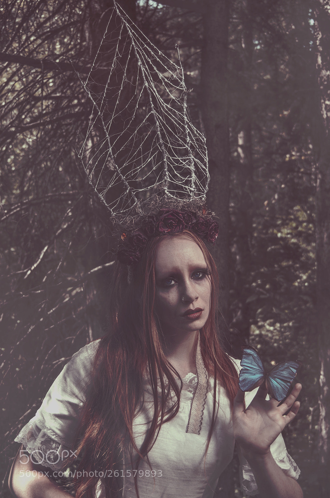 Nikon D90 sample photo. Samcrownfull photography