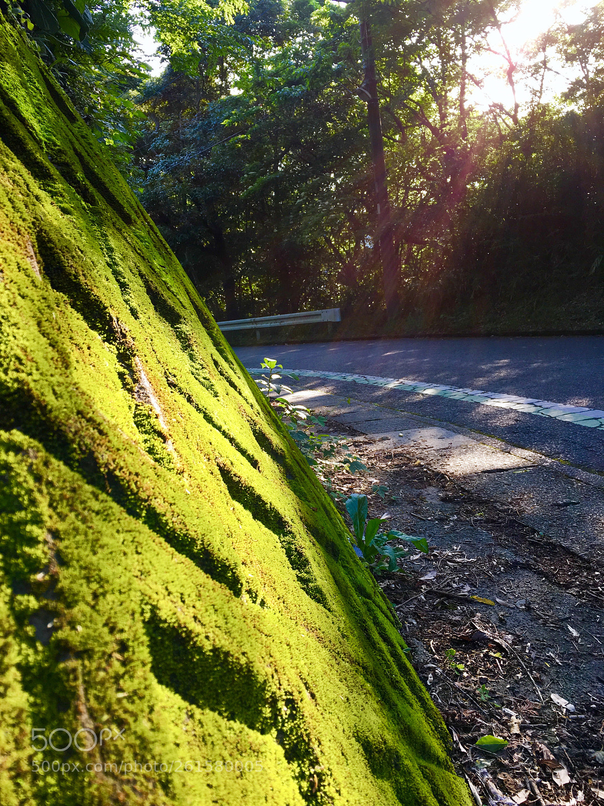 Apple iPhone 6s Plus sample photo. The north face photography