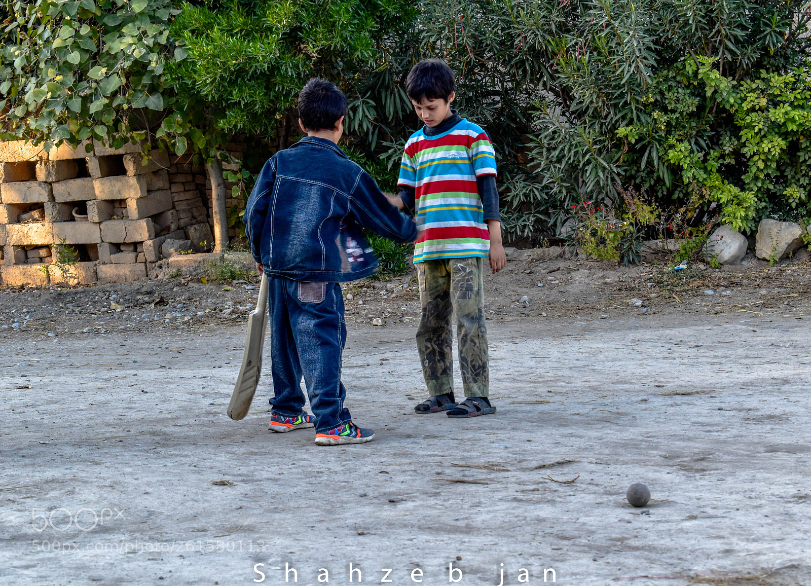 Nikon D5500 sample photo. Cricket photography
