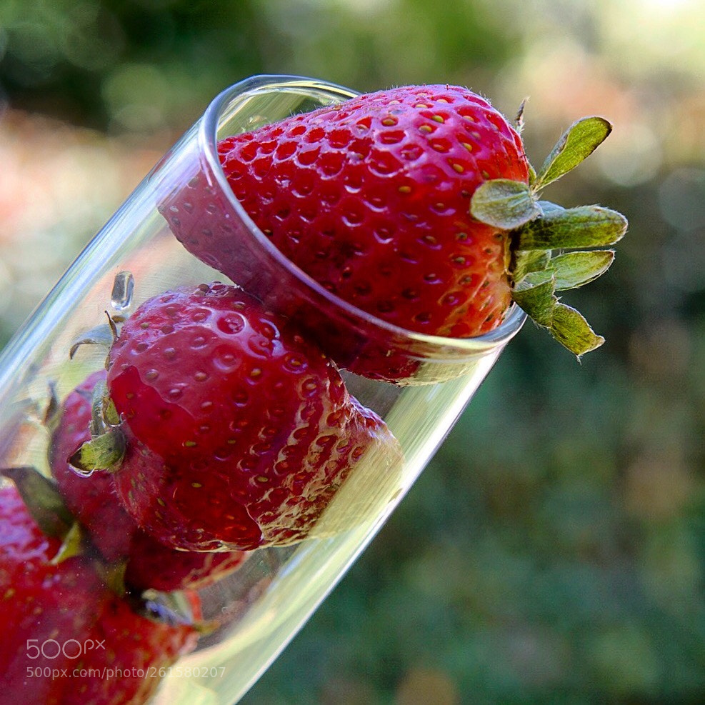 Sony a6000 sample photo. Strawberry sipper photography