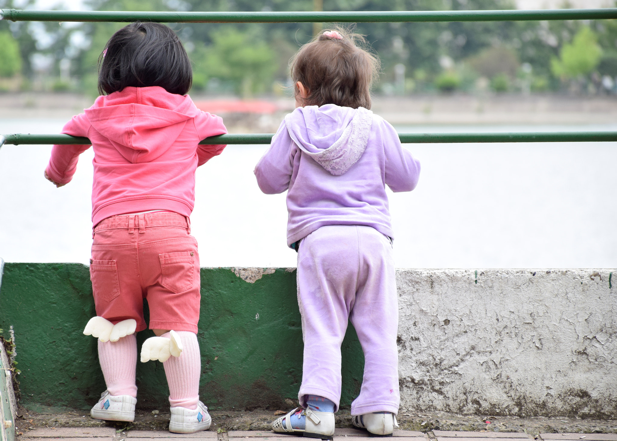 Nikon D5300 sample photo. Friendship photography