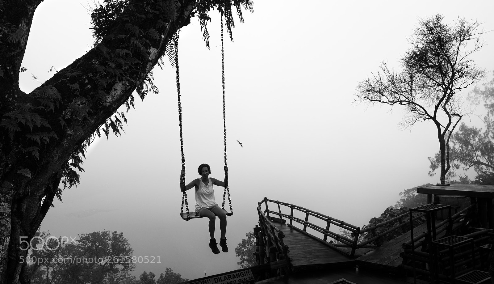 Fujifilm X-T10 sample photo. Balançoire photography