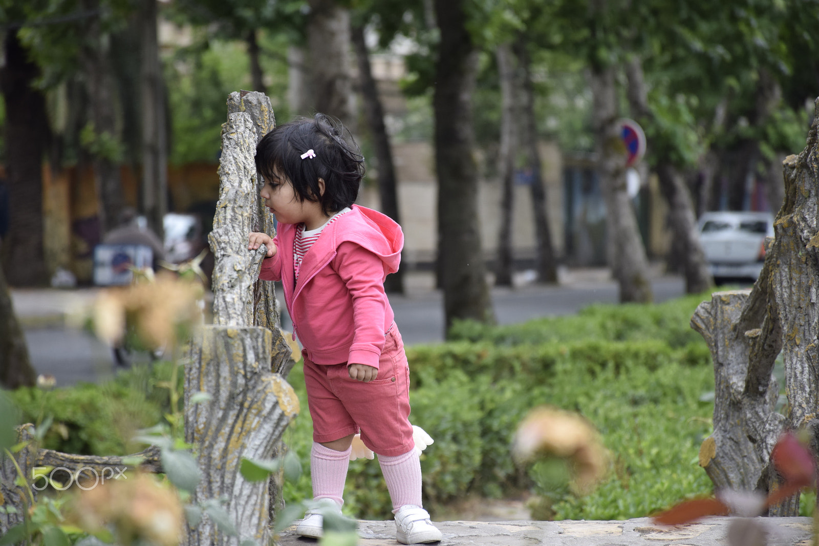 Nikon D5300 sample photo. Curious photography