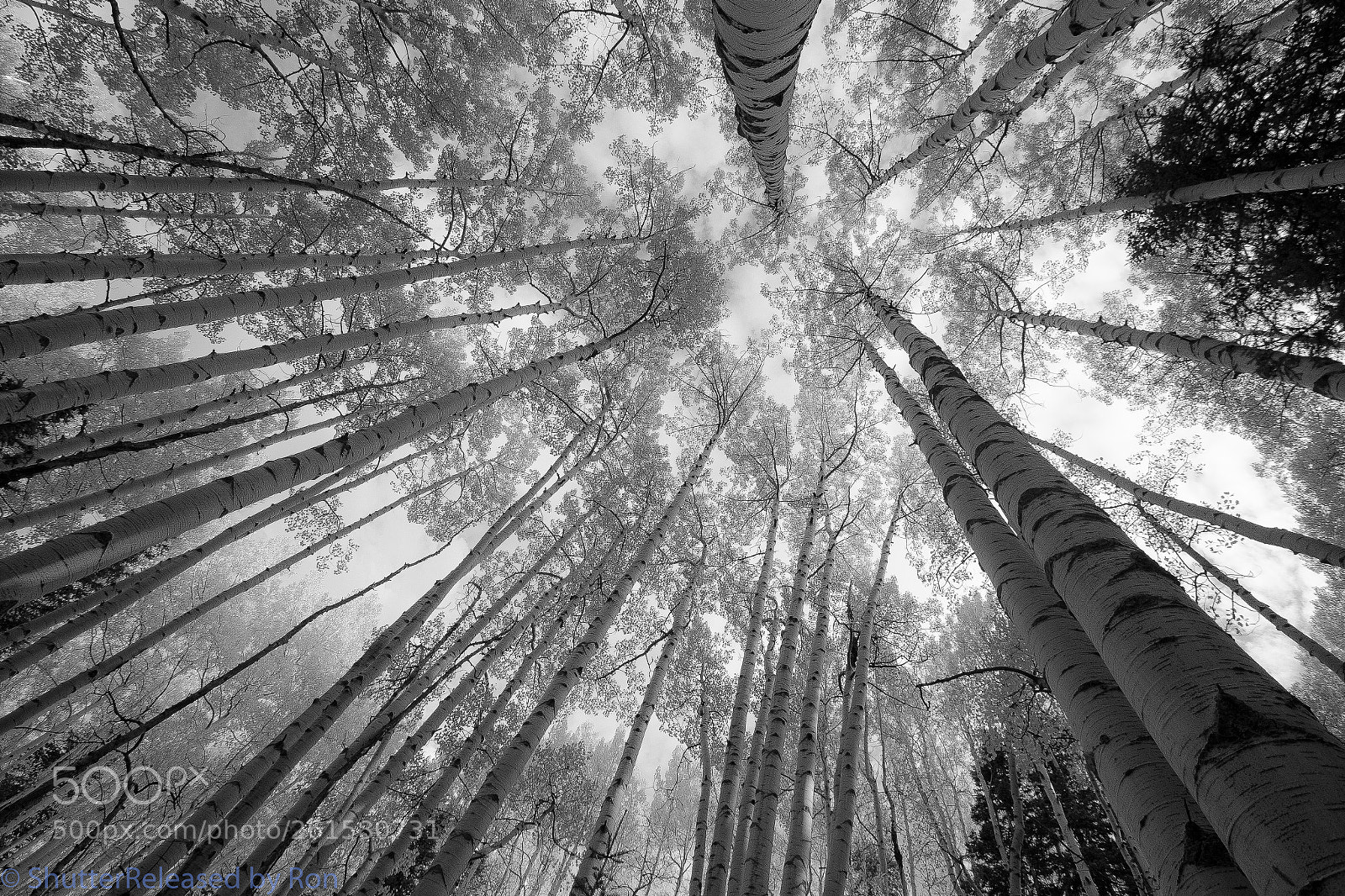 Canon EOS 6D sample photo. Eternal lines photography