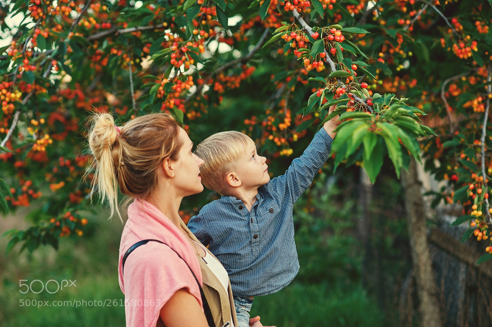 Nikon D700 sample photo. Family portrait of mother photography