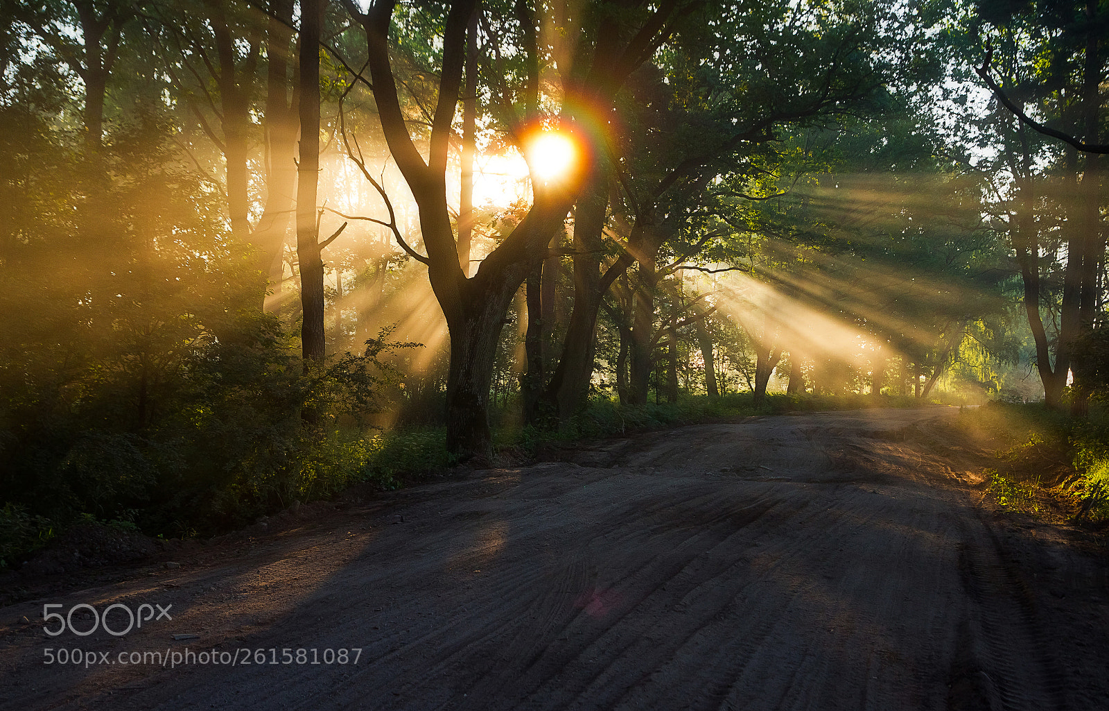 Canon EOS 7D sample photo. In the embrace of photography