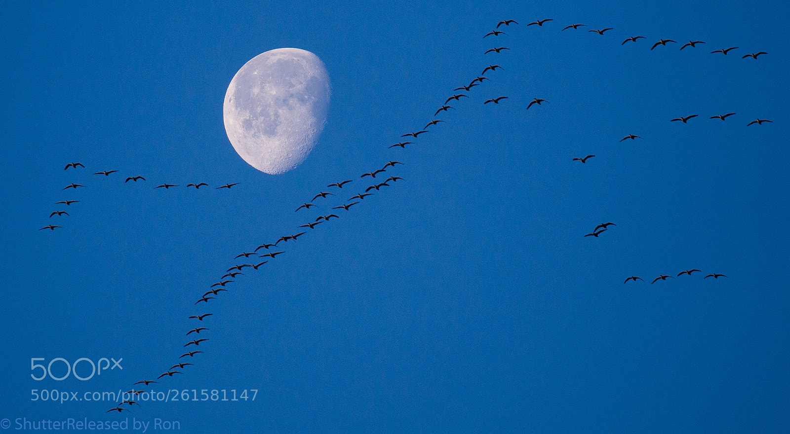 Canon EOS 6D sample photo. Flying under the moon photography