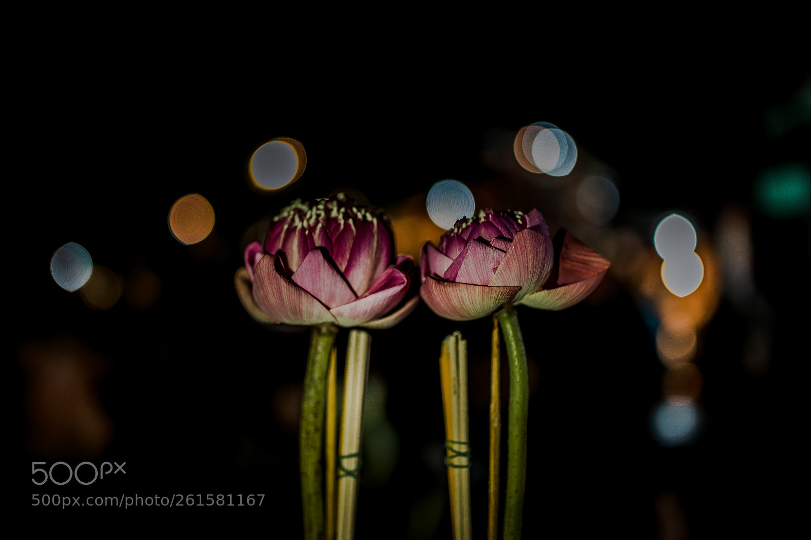 Canon EOS 6D sample photo. Doi suthep photography