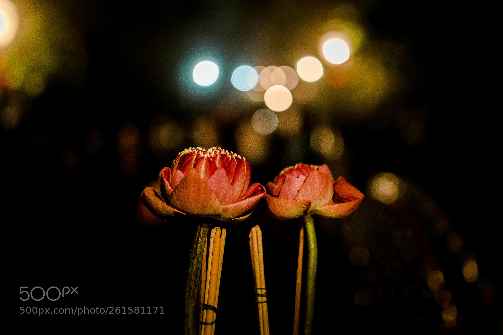Canon EOS 6D sample photo. Doi suthep photography