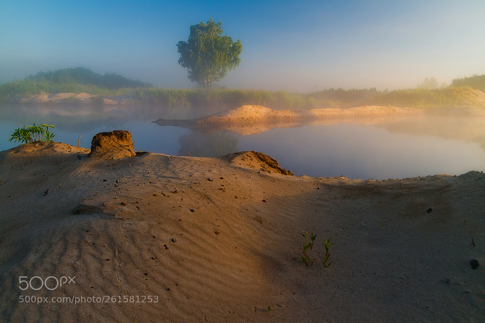 Canon EOS 7D sample photo. On the foggy coast photography