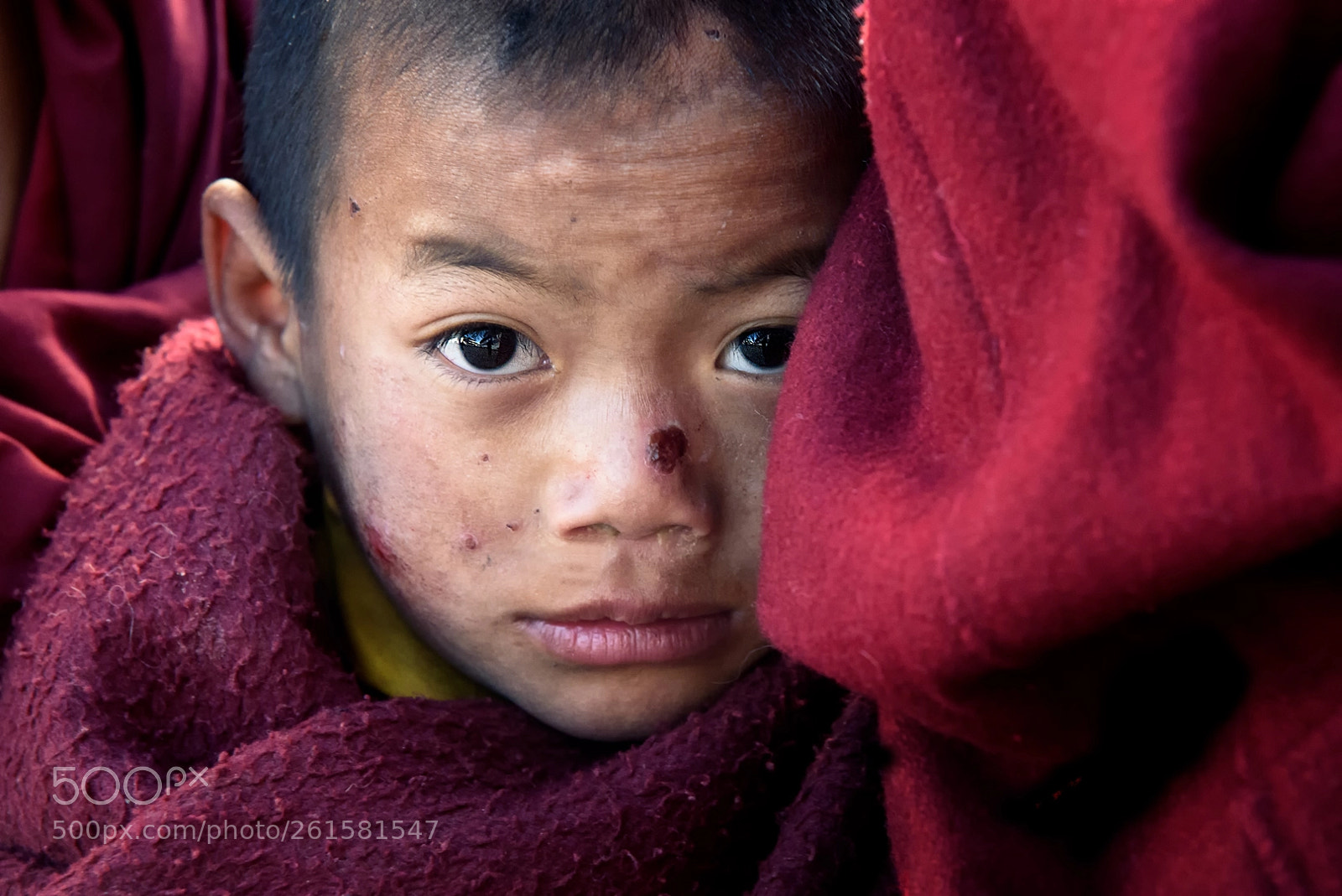Nikon D750 sample photo. Horrified monk photography