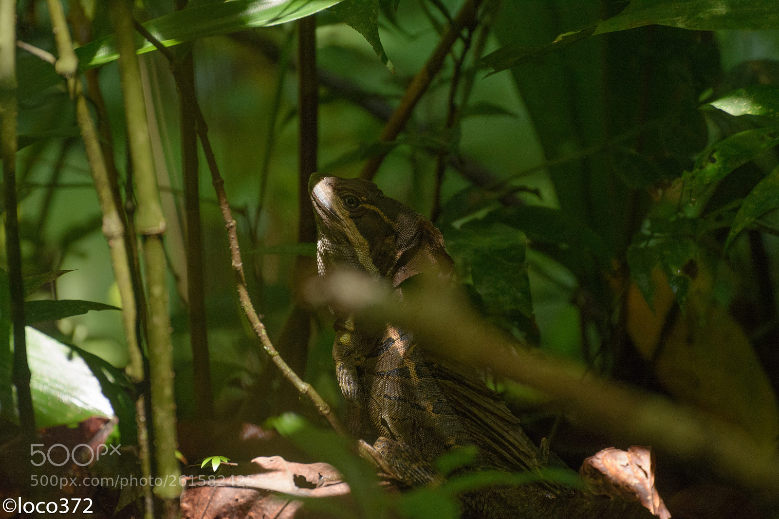 Nikon D7100 sample photo. Untitled photography