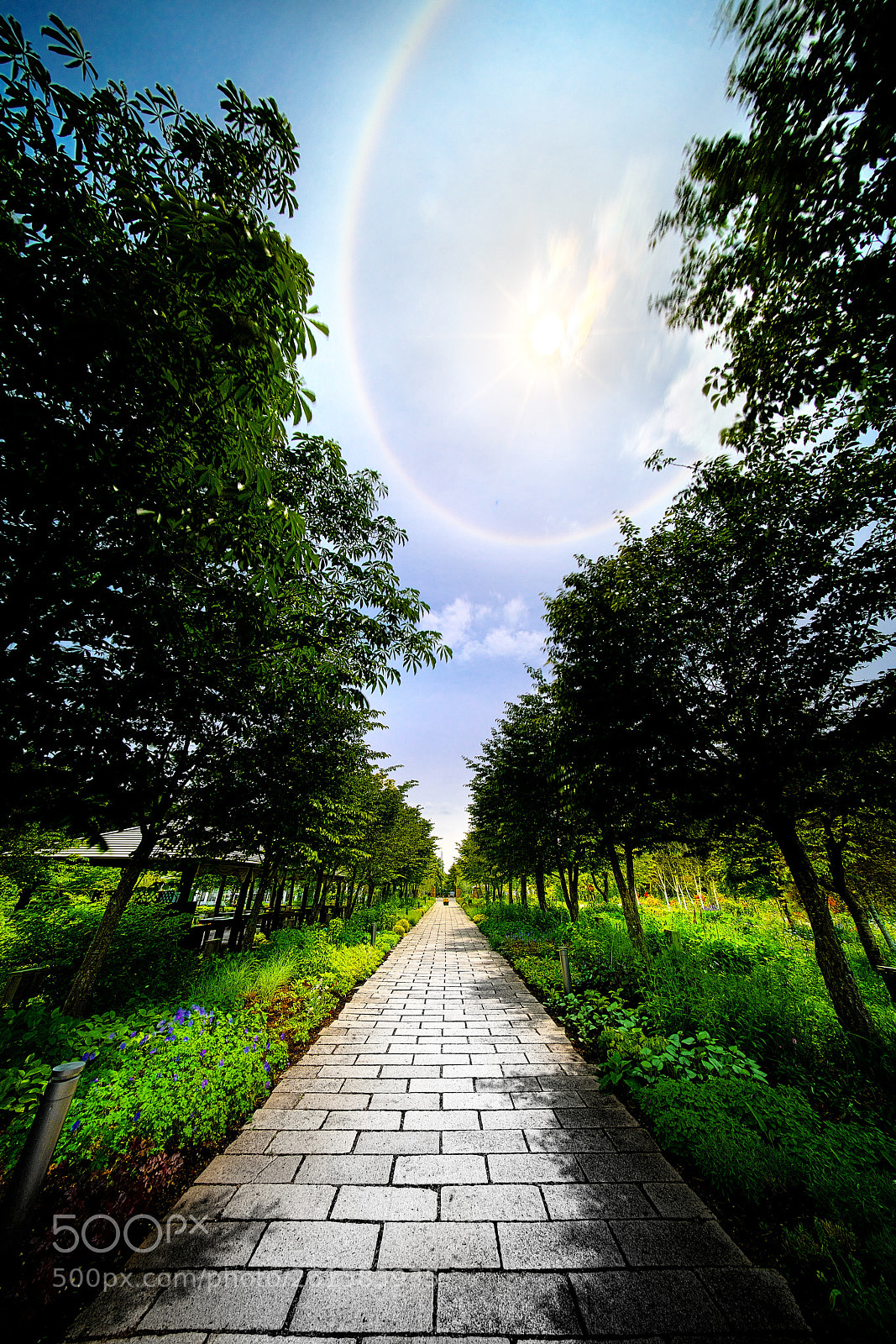 Sony a7R III sample photo. Here comes the sun photography