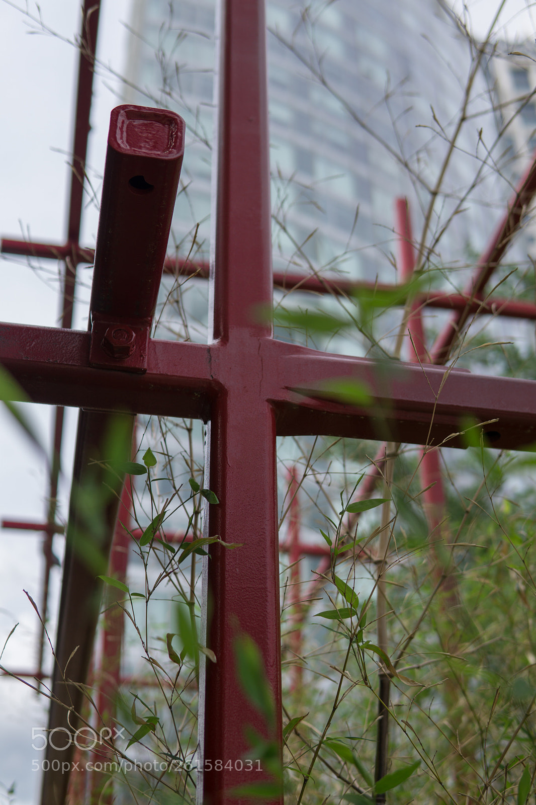 Sony a6000 sample photo. Dsc photography