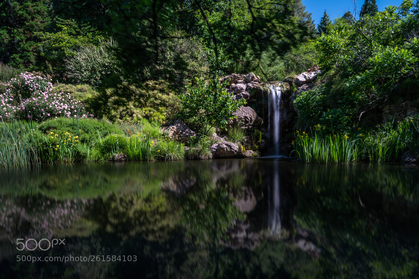Sony a7 III sample photo. A calm pond photography