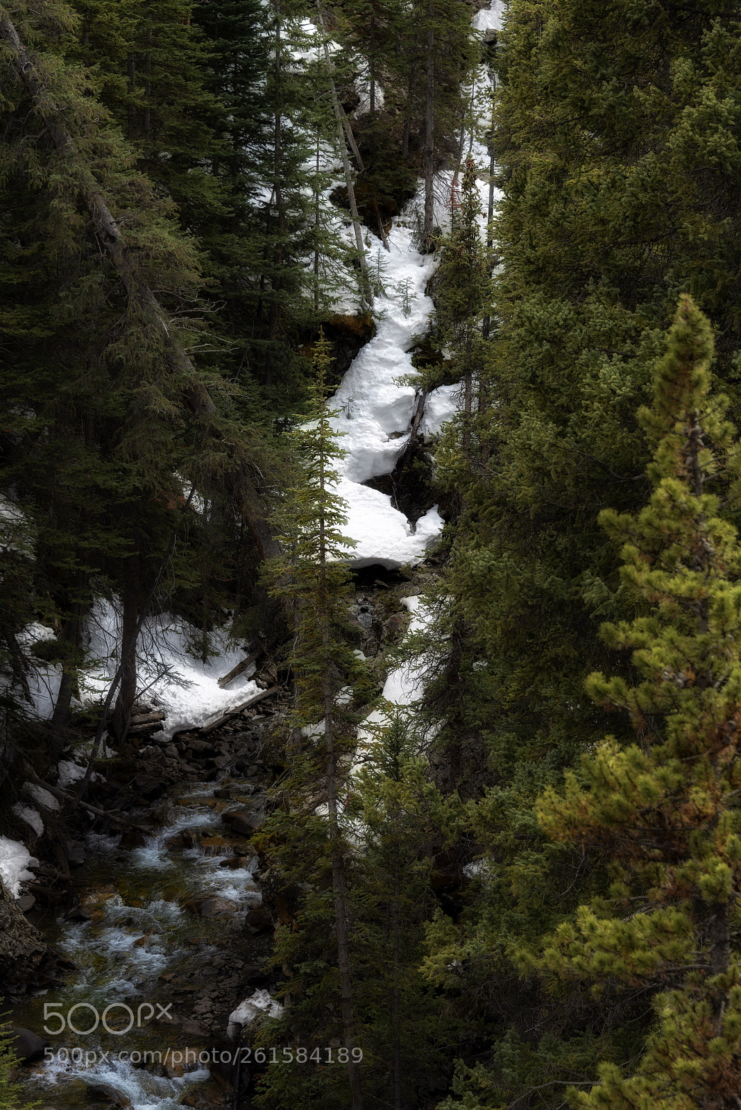 Nikon D750 sample photo. Rivers are made in photography