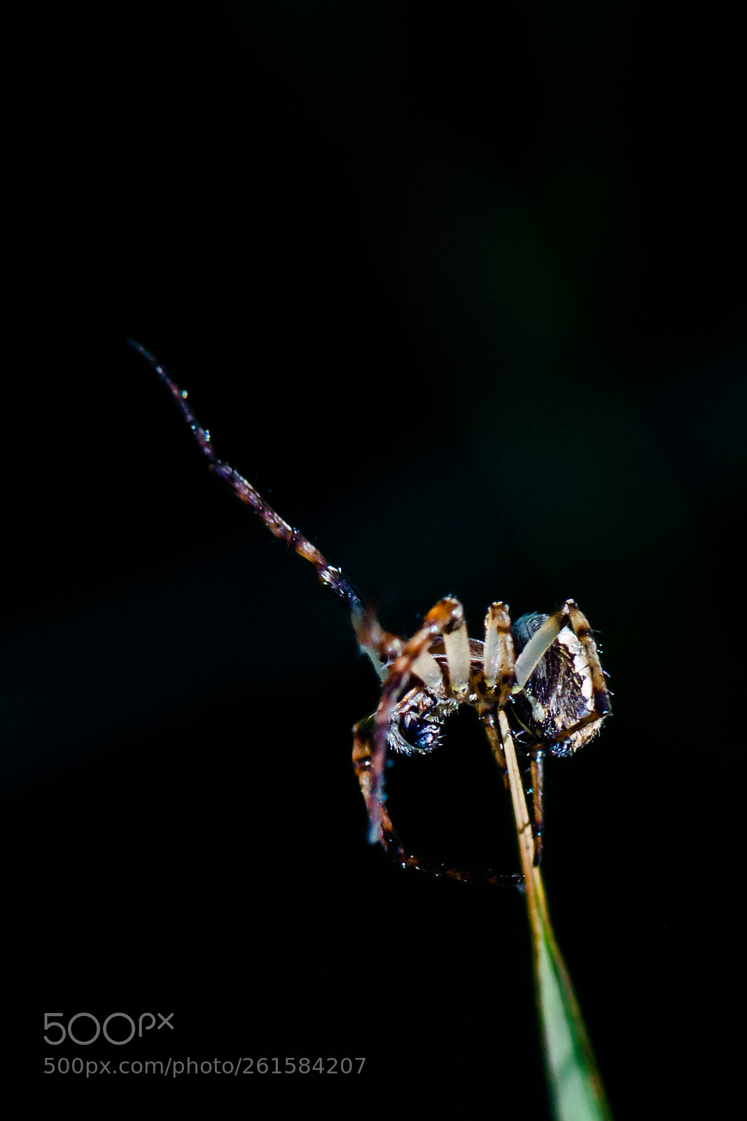 Nikon D7000 sample photo. Untitled photography