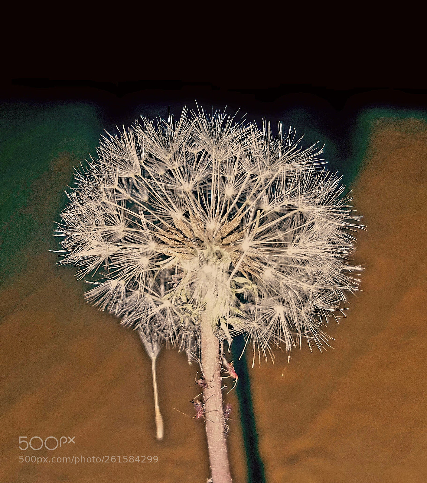 Samsung Galaxy Note5 sample photo. Untitled photography