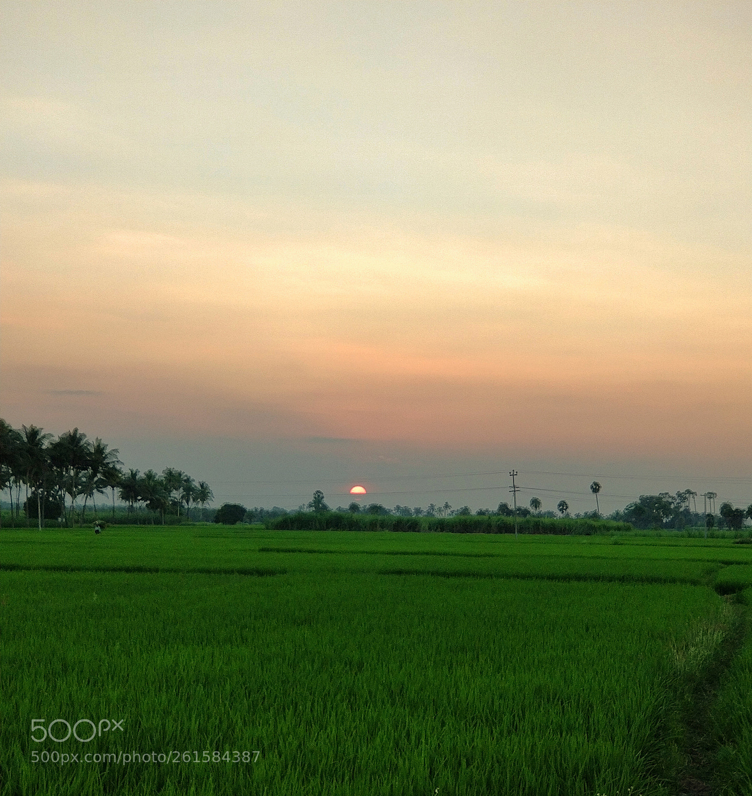 OnePlus 5 sample photo. Sunset photography