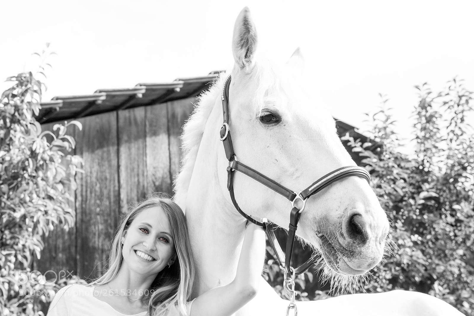 Canon EOS 6D Mark II sample photo. Girl with horse ii photography