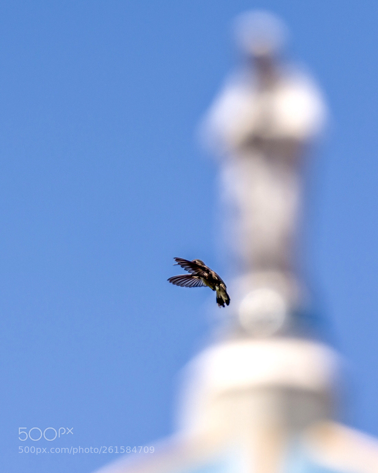 Nikon D7100 sample photo. Untitled photography
